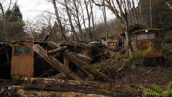 img of 嵐山山地線現存機關車一覽