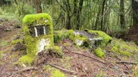 img of 大鹿林道東支線里程碑