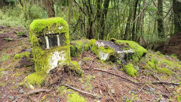 img of 大鹿林道東支線里程碑