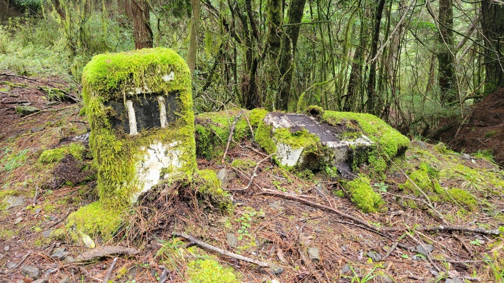 img of 大鹿林道東支線里程碑