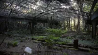 img of 舊人倫工作站牡丹園
