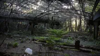 img of 舊人倫工作站牡丹園