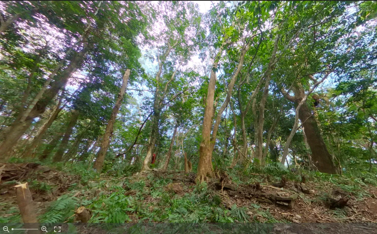 360全景介面