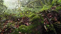 img of 嵐山舊五號索道發送站