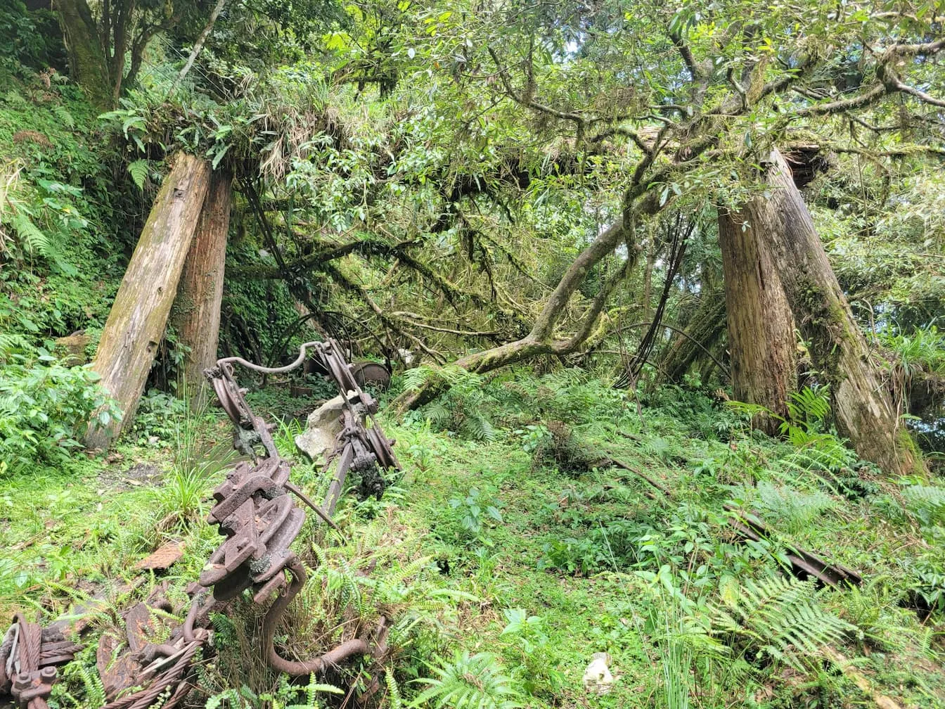 三號下鳥居架