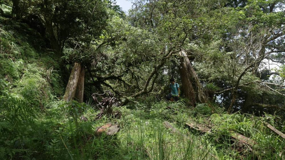 img of 林田山三號索道著點