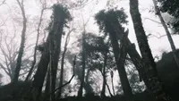 img of 知本林鐵三號索道發送站