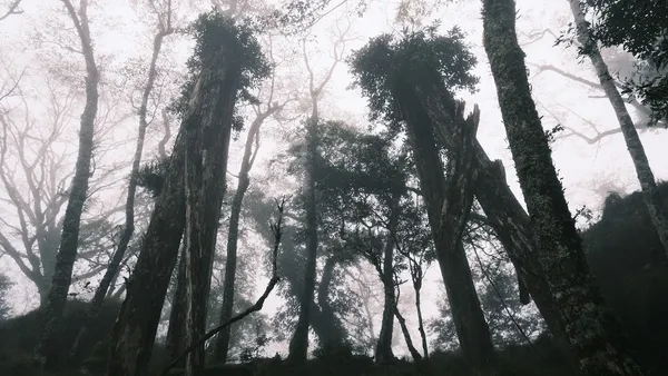 img of 知本林鐵三號索道發送站